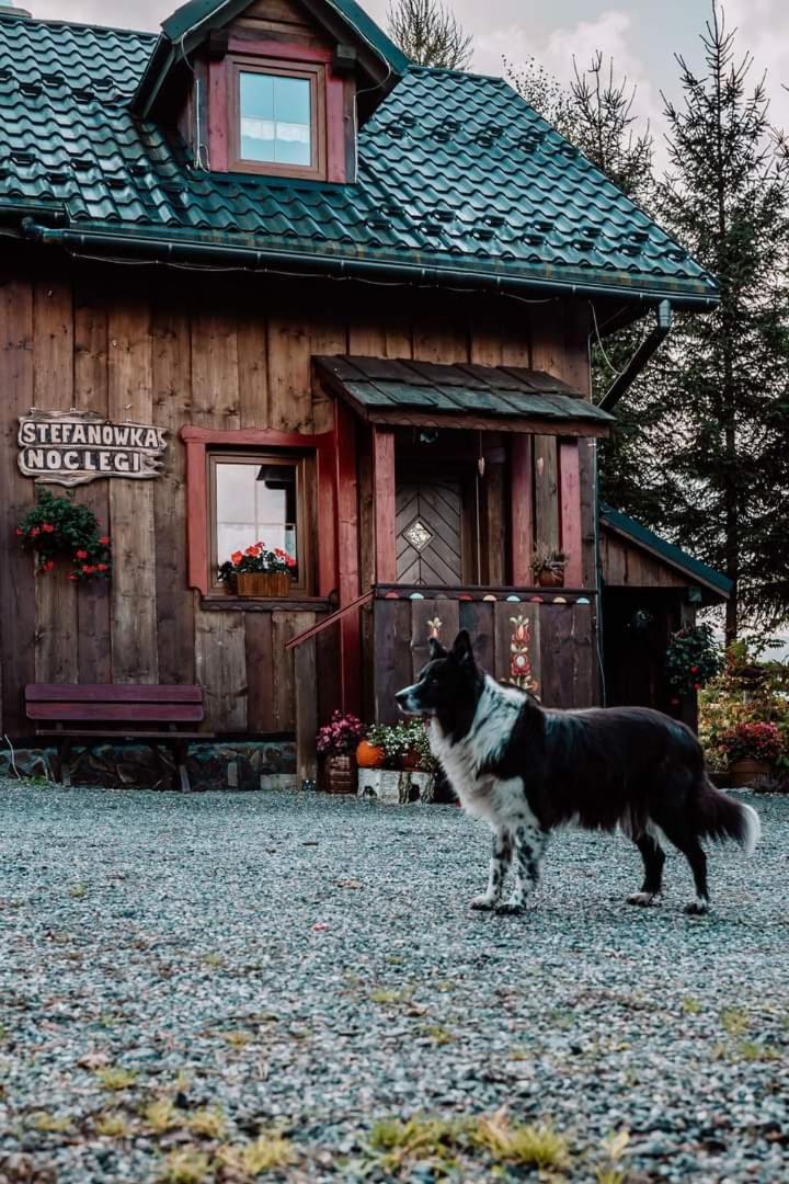 Chata drewniana Stefanówka Slemien Exterior foto